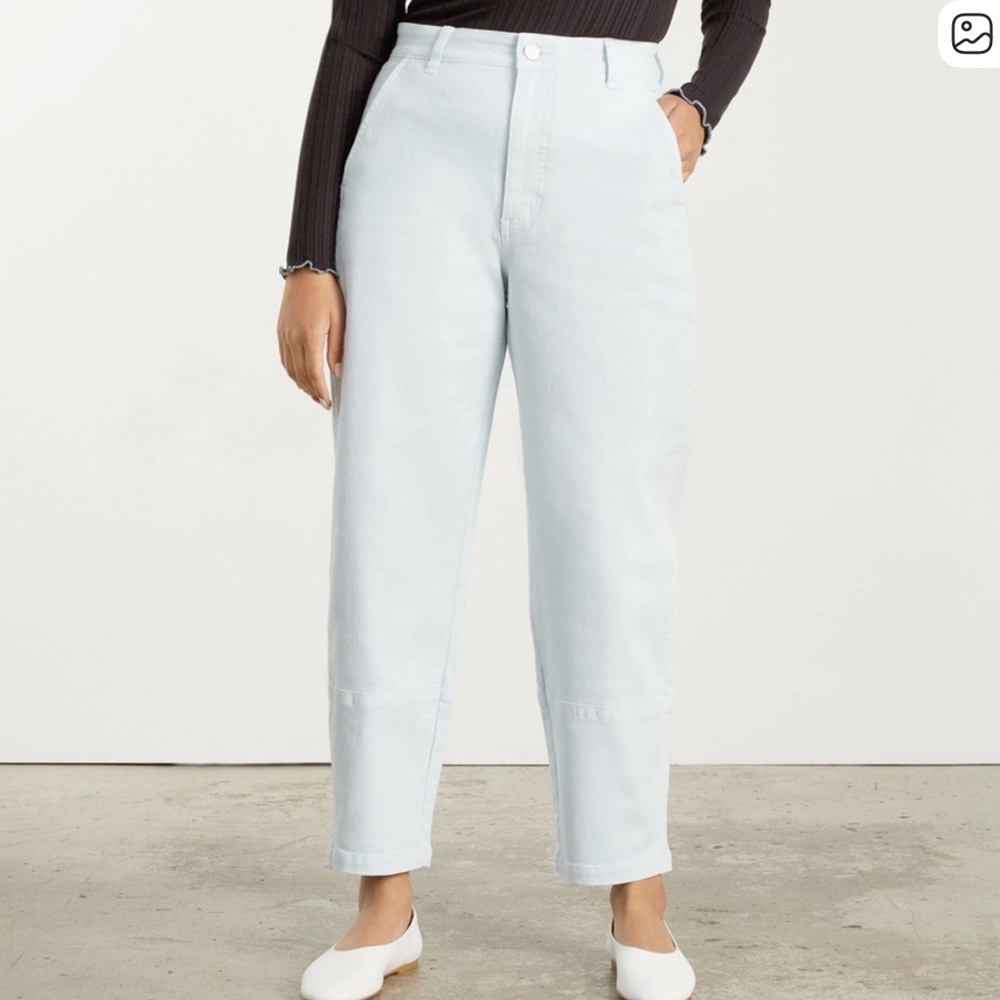 Light Blue Everlane Barrell Pants